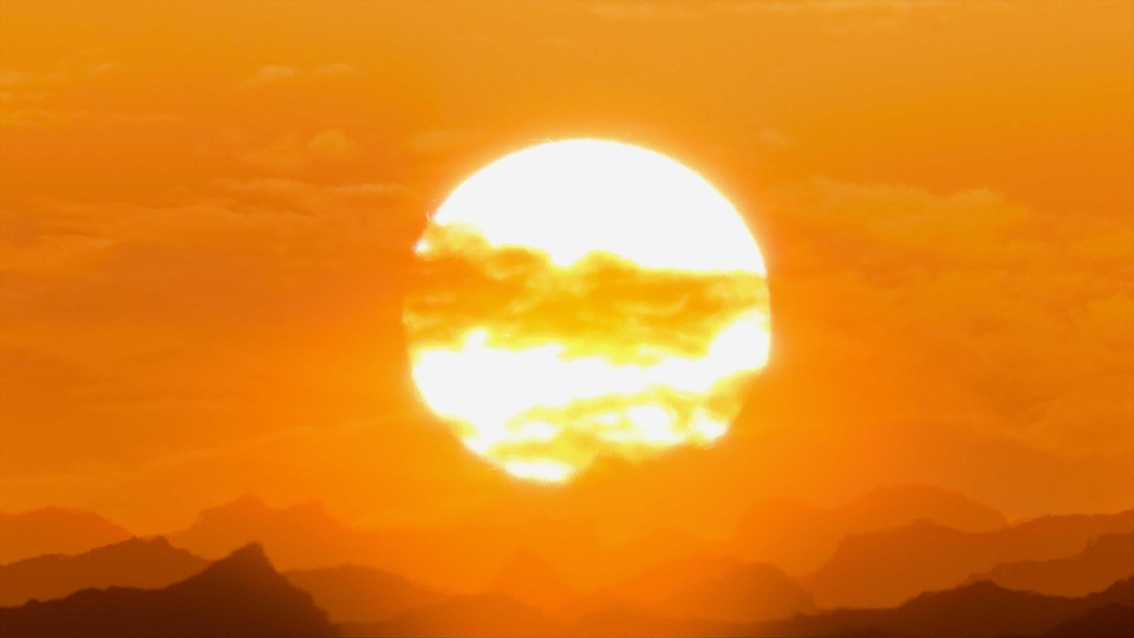 5 Smart Ways to Prepare Your Landscape for a Hot Texas Summer