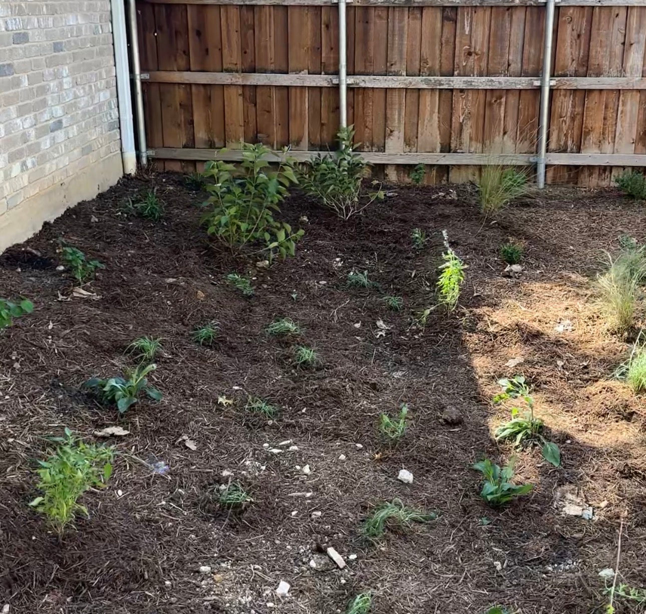 How To Prep a New Garden Bed