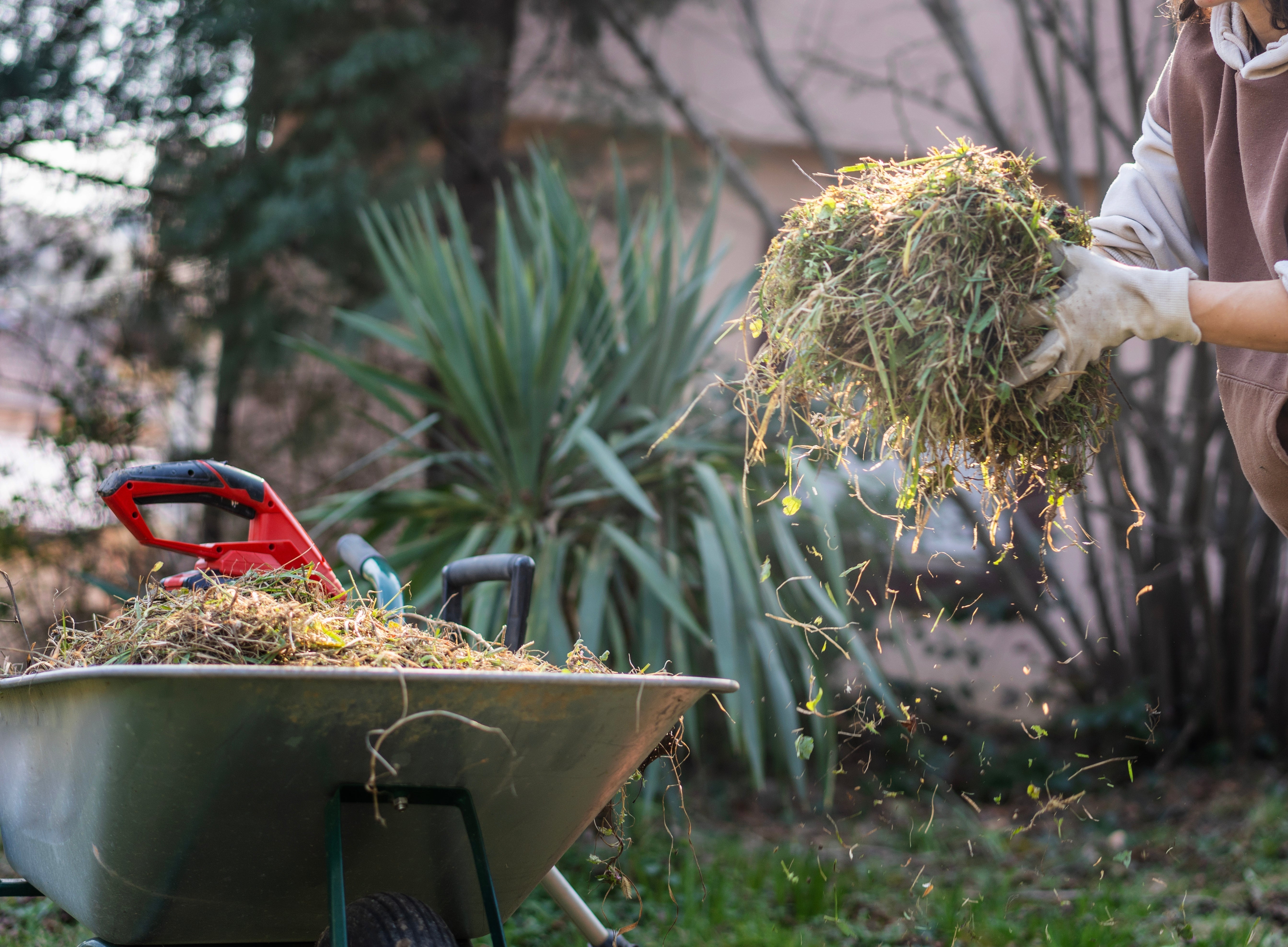 How to Prepare Garden Beds for Spring Planting