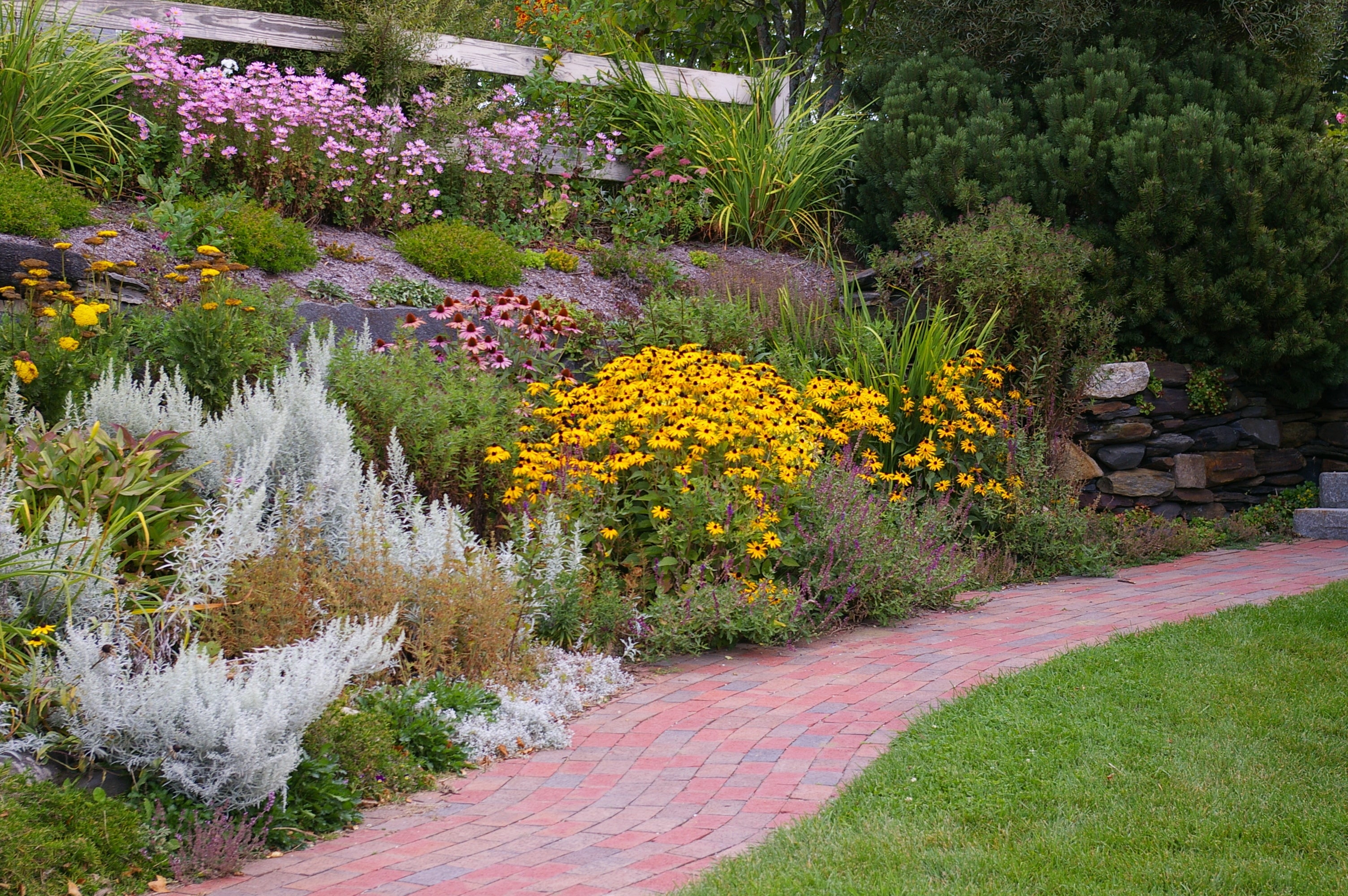 Why Fall is the Best Time to Plant Native Perennials in Texas