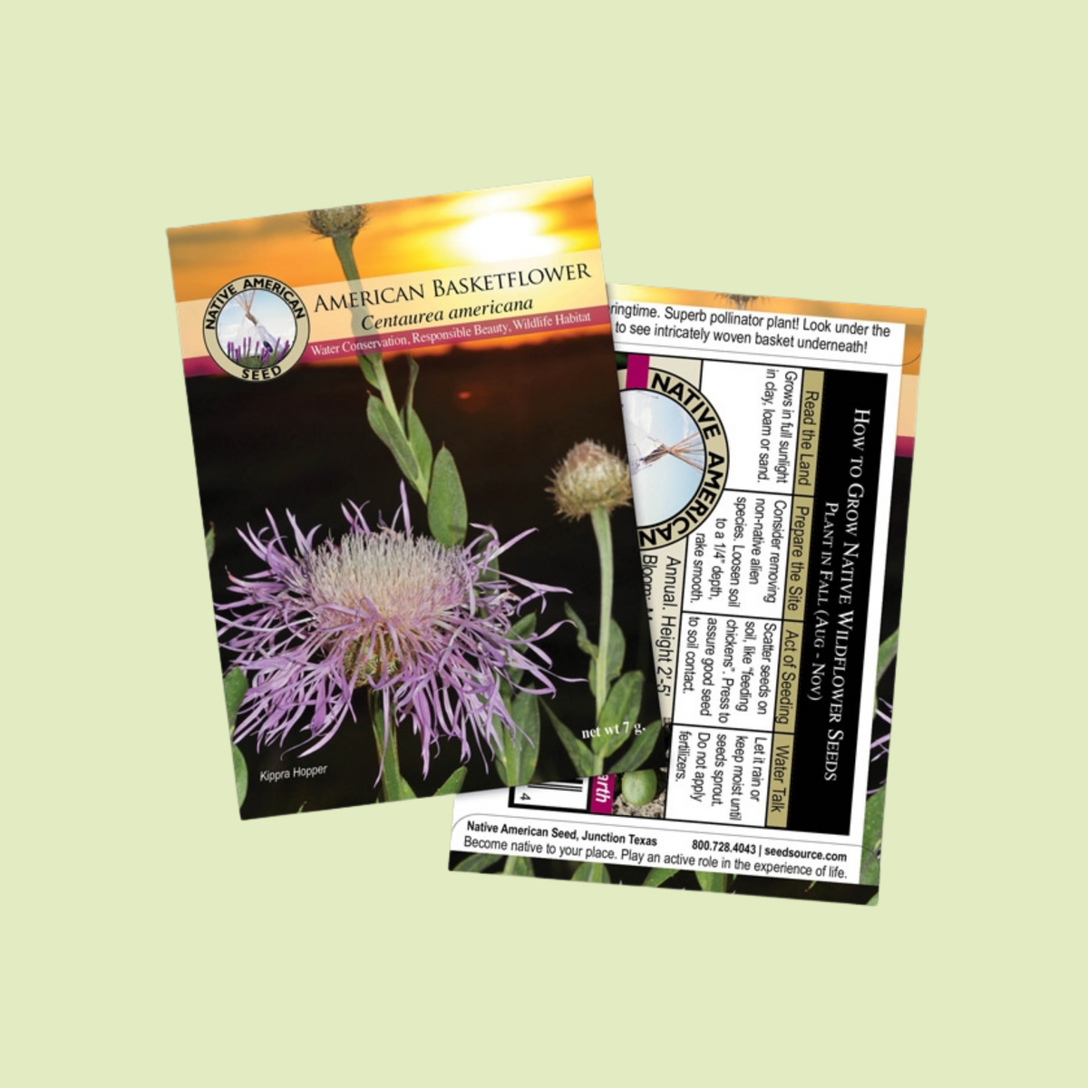 American Basketflower Seeds