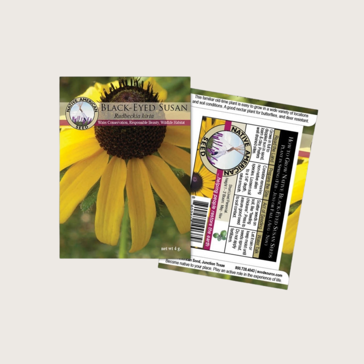 Black-Eyed Susan Seeds