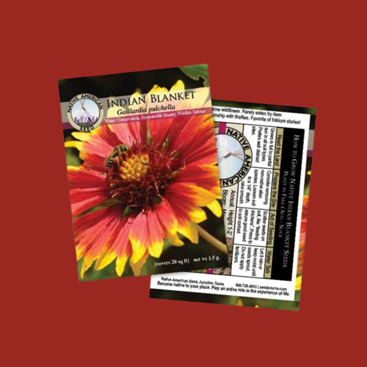 Indian Blanket Seeds