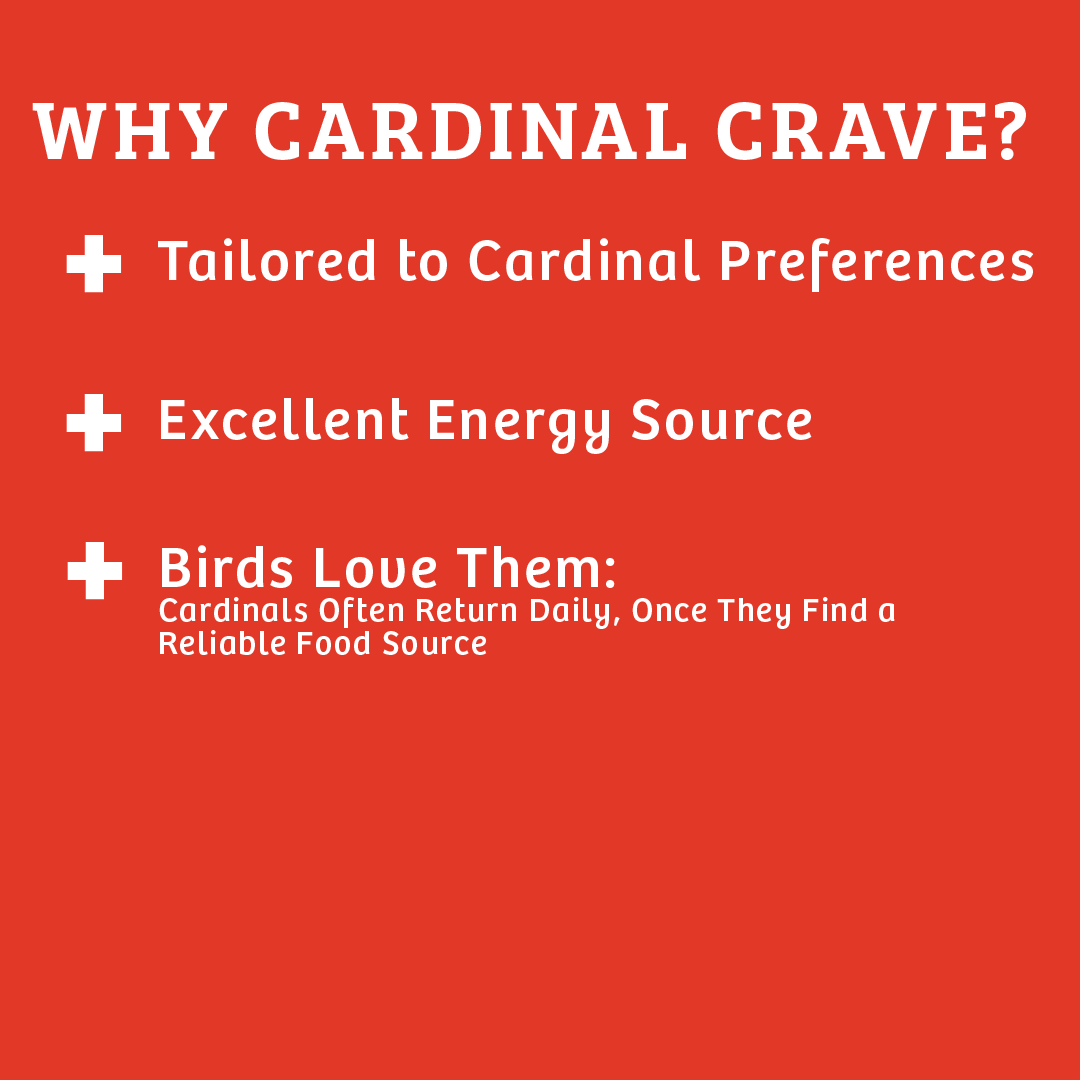Cardinals Crave Wild Bird Food - 5 lbs.