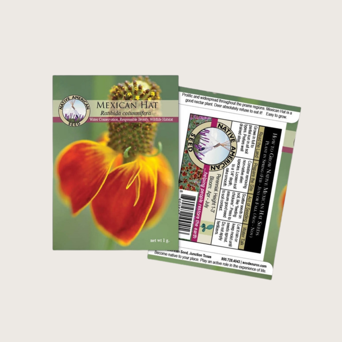Mexican Hat Seeds