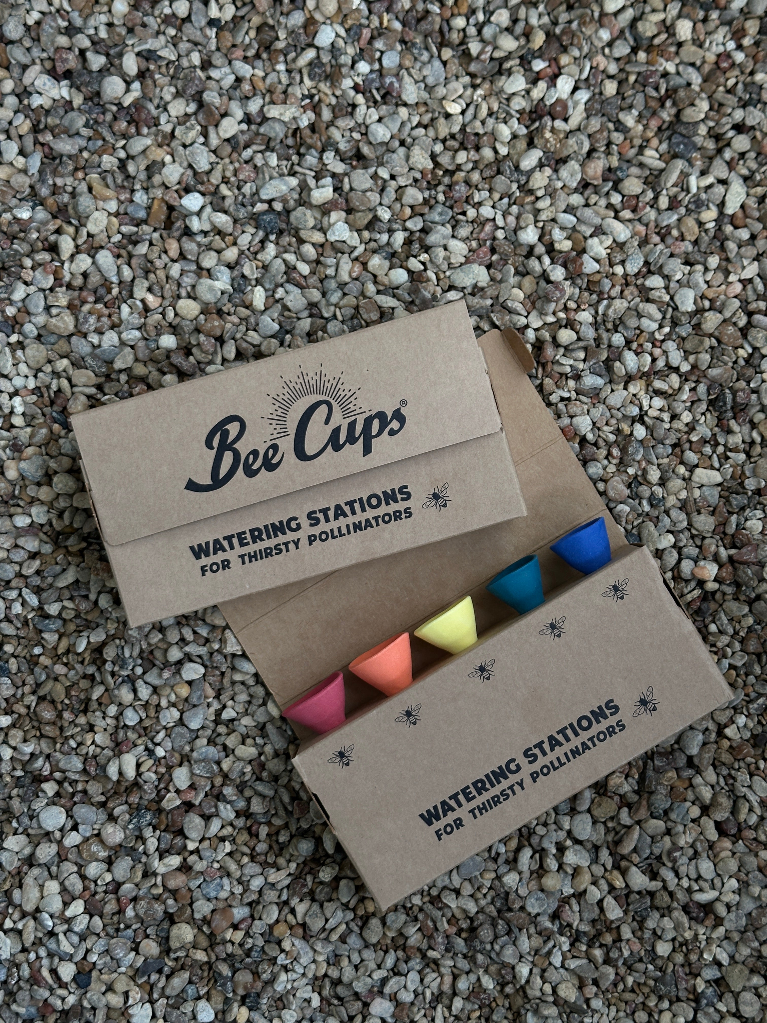 Bee Cups
