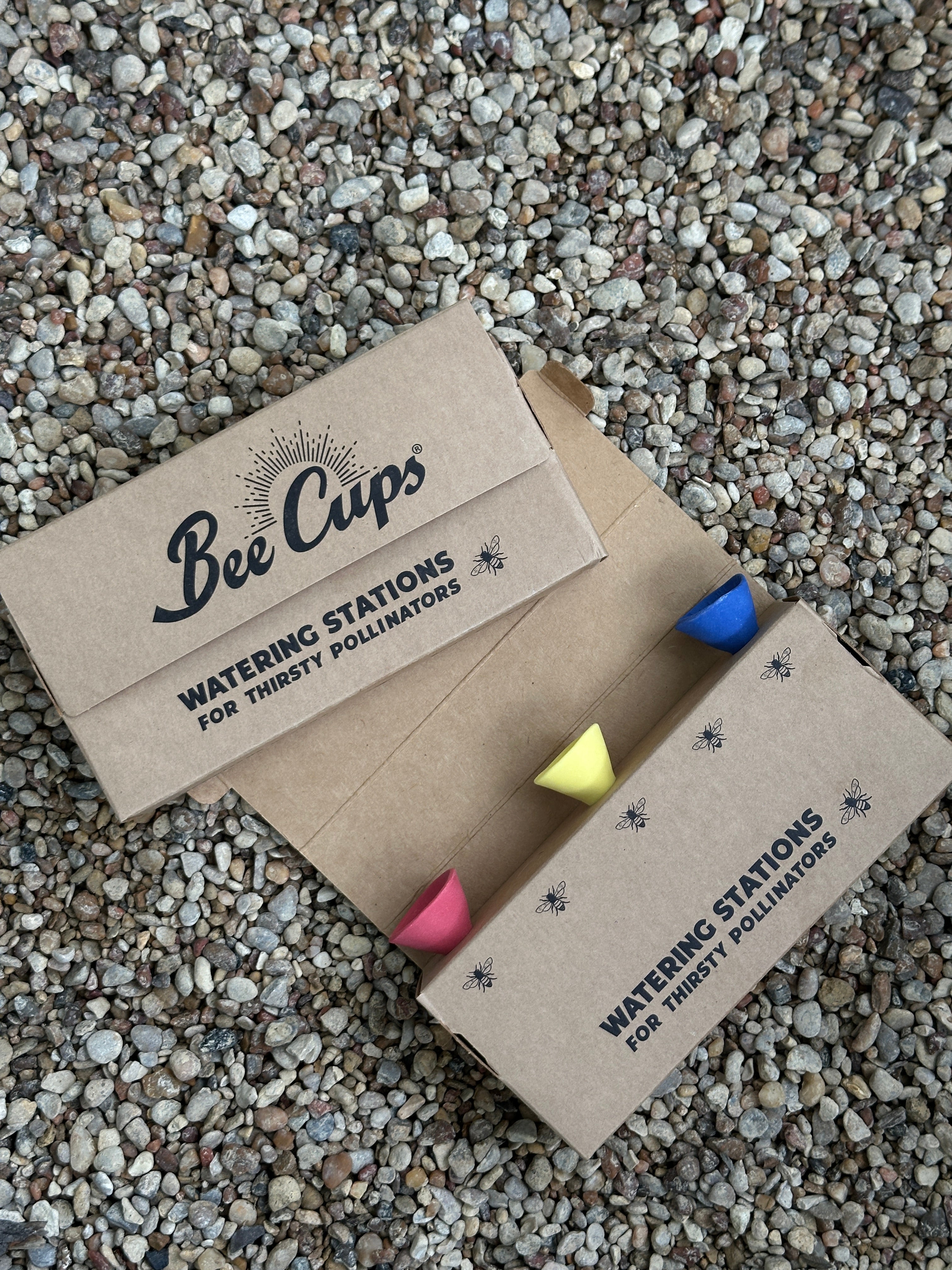 Bee Cups