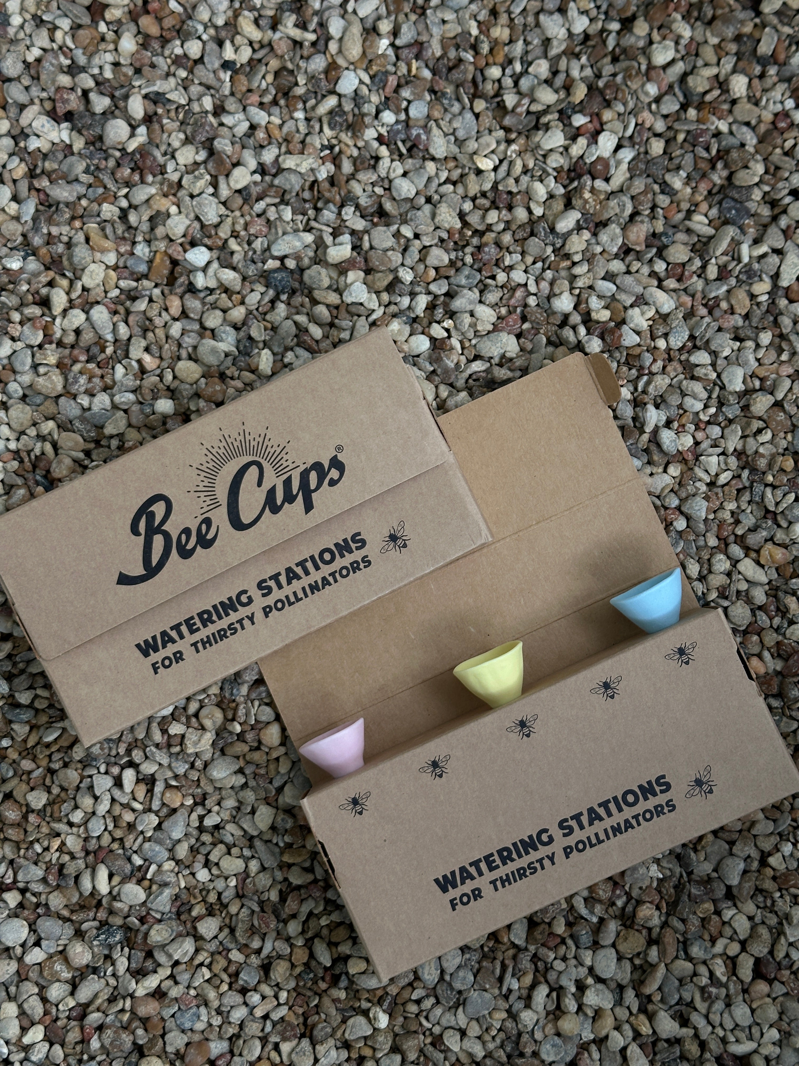 Bee Cups