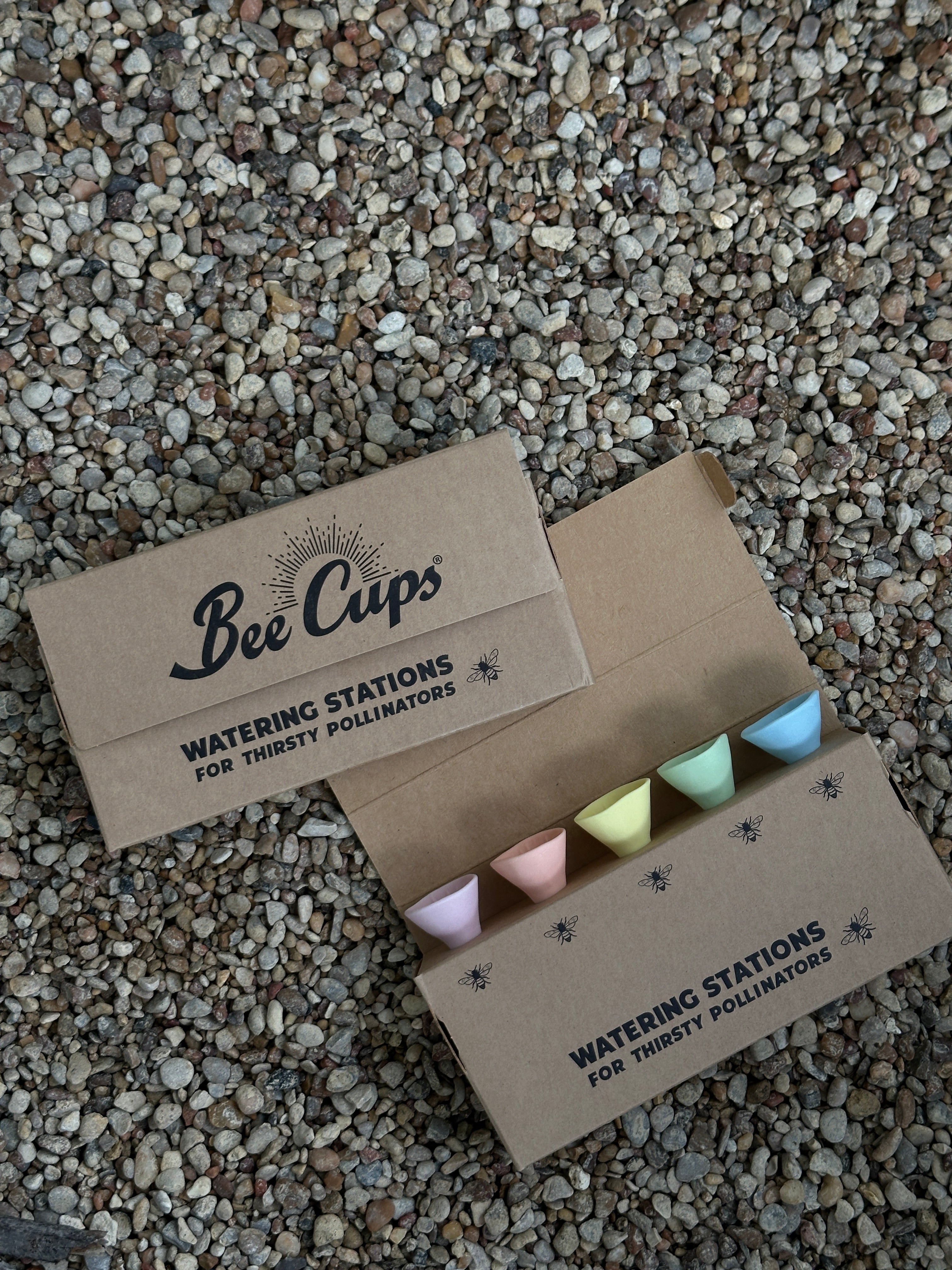 Bee Cups