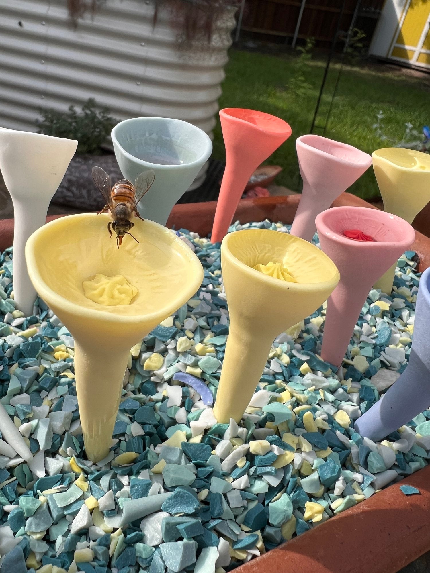 Bee Cups