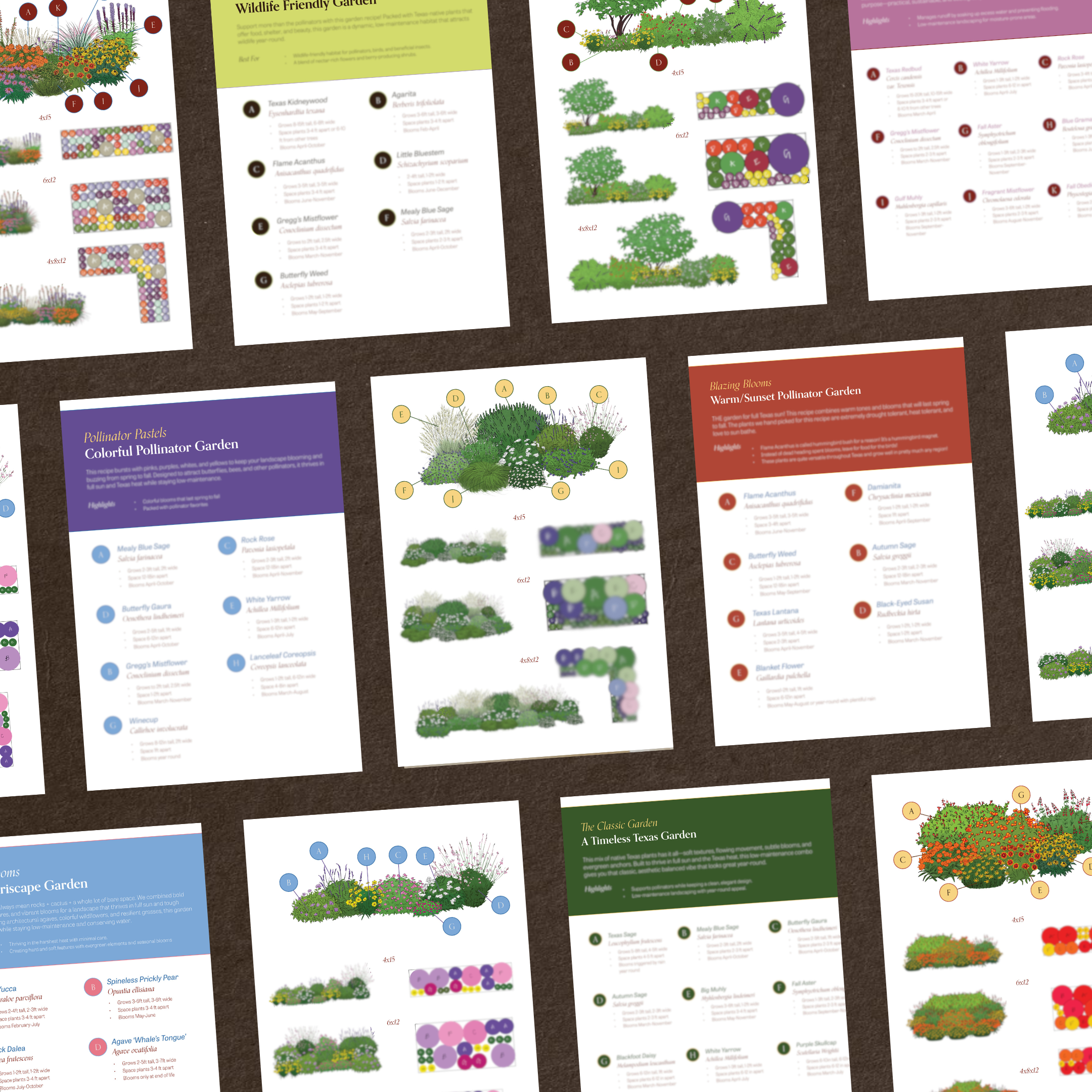 Plant Recipes for Your Native Garden