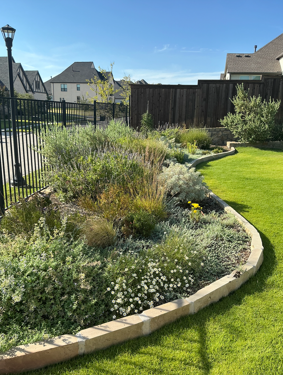 A Texas Native Pollinator Garden in Aledo, TX