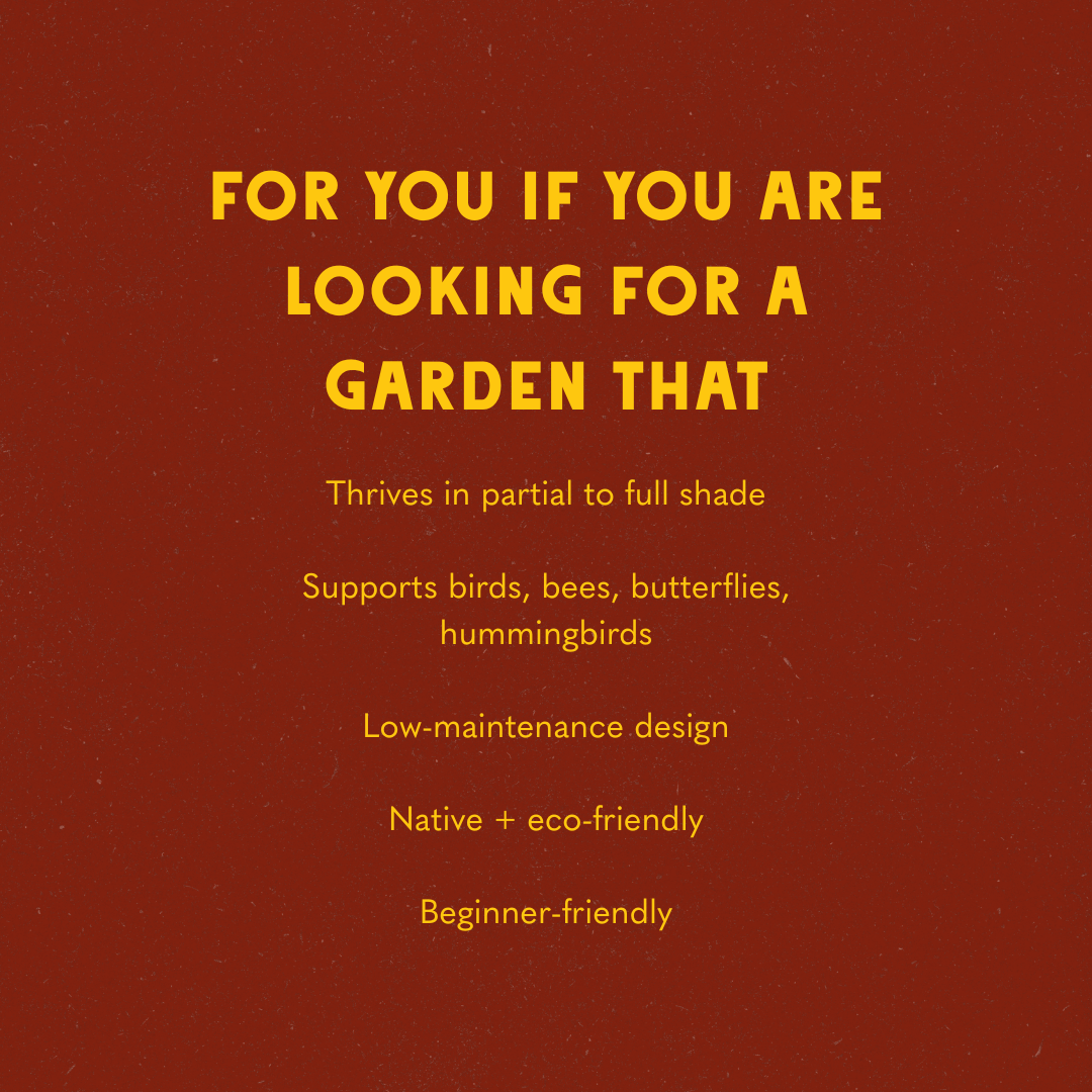 Shaded Garden Recipes