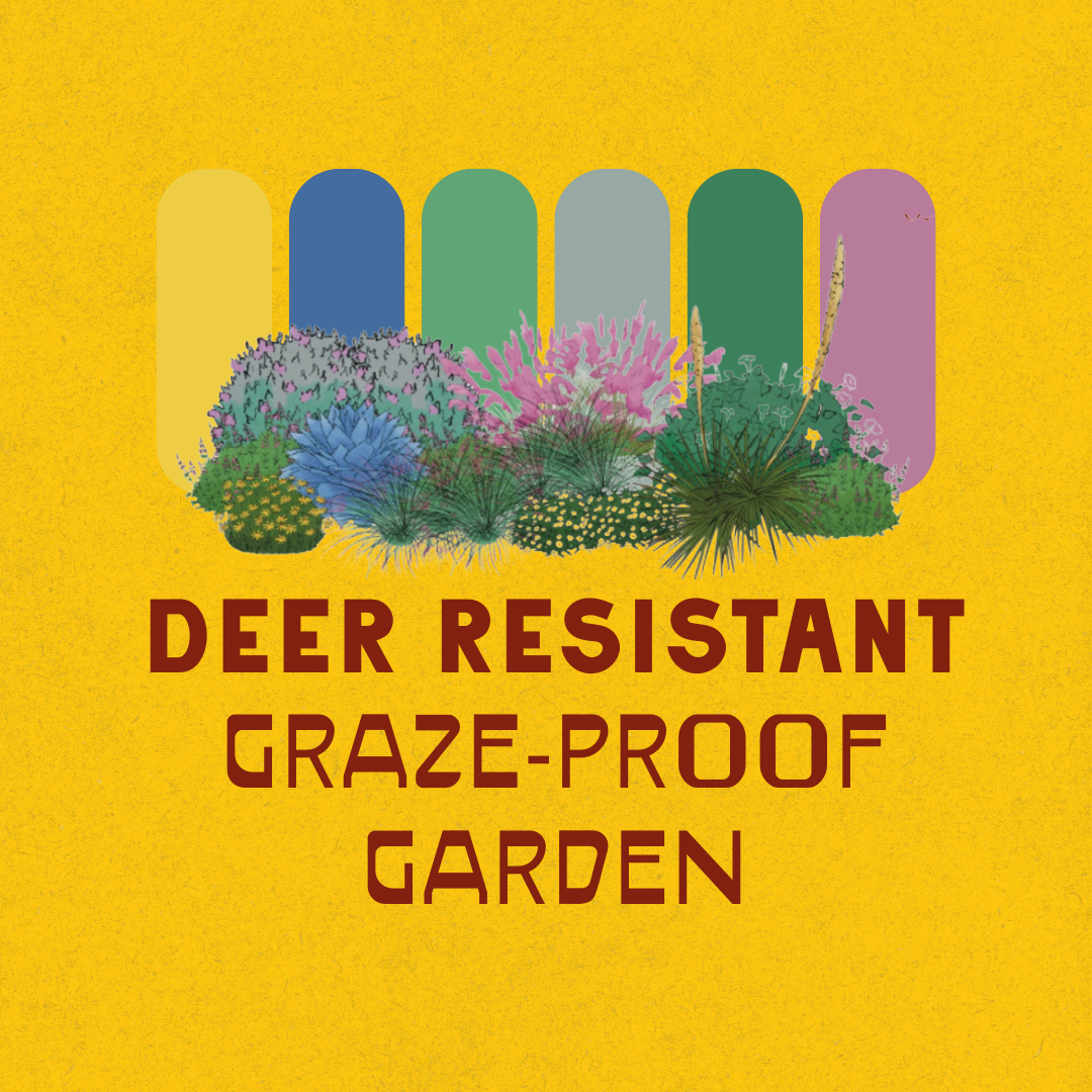 Full Sun Garden Recipes