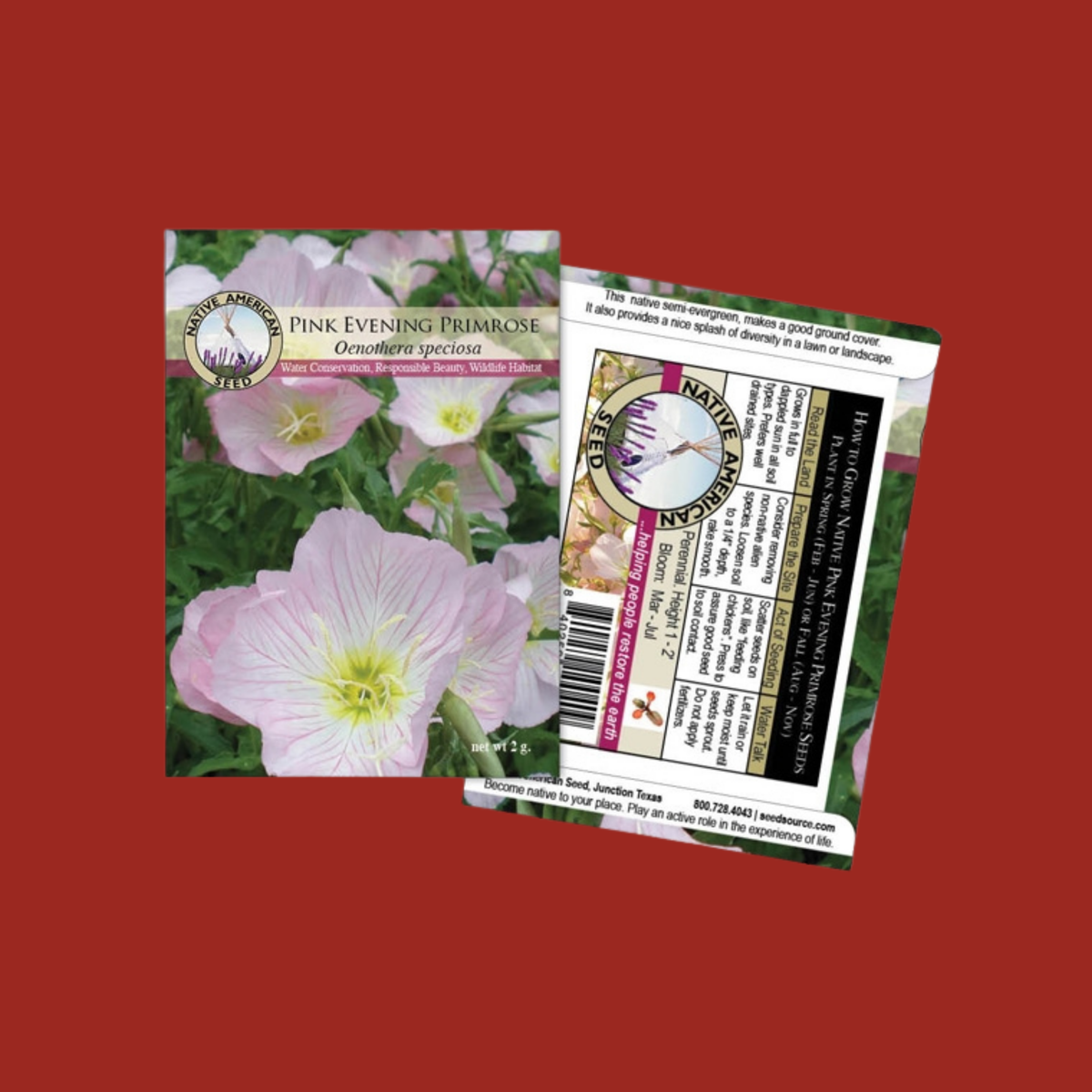 Pink Evening Primrose Seeds