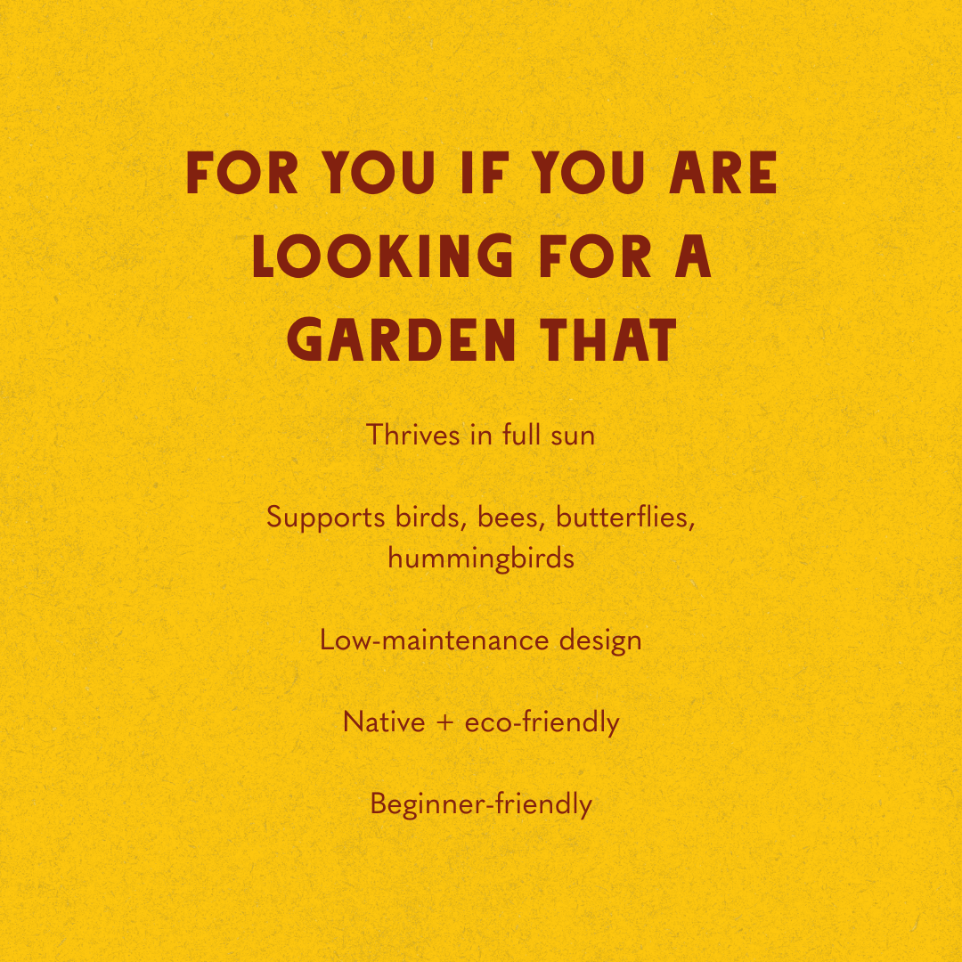 Full Sun Garden Recipes