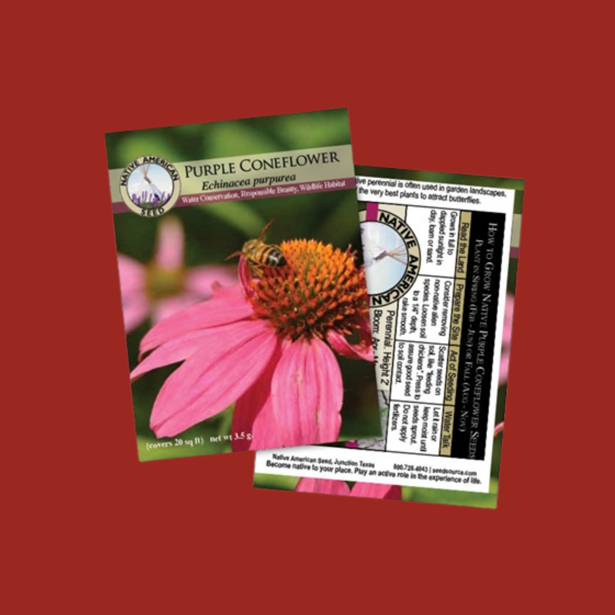 Purple Coneflower Seeds