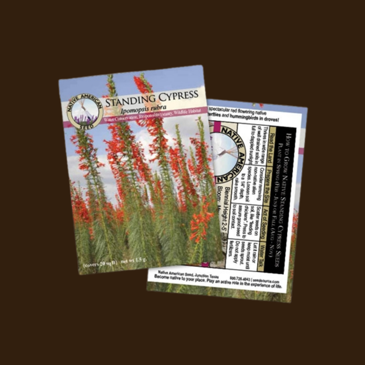 Standing Cypress Seeds