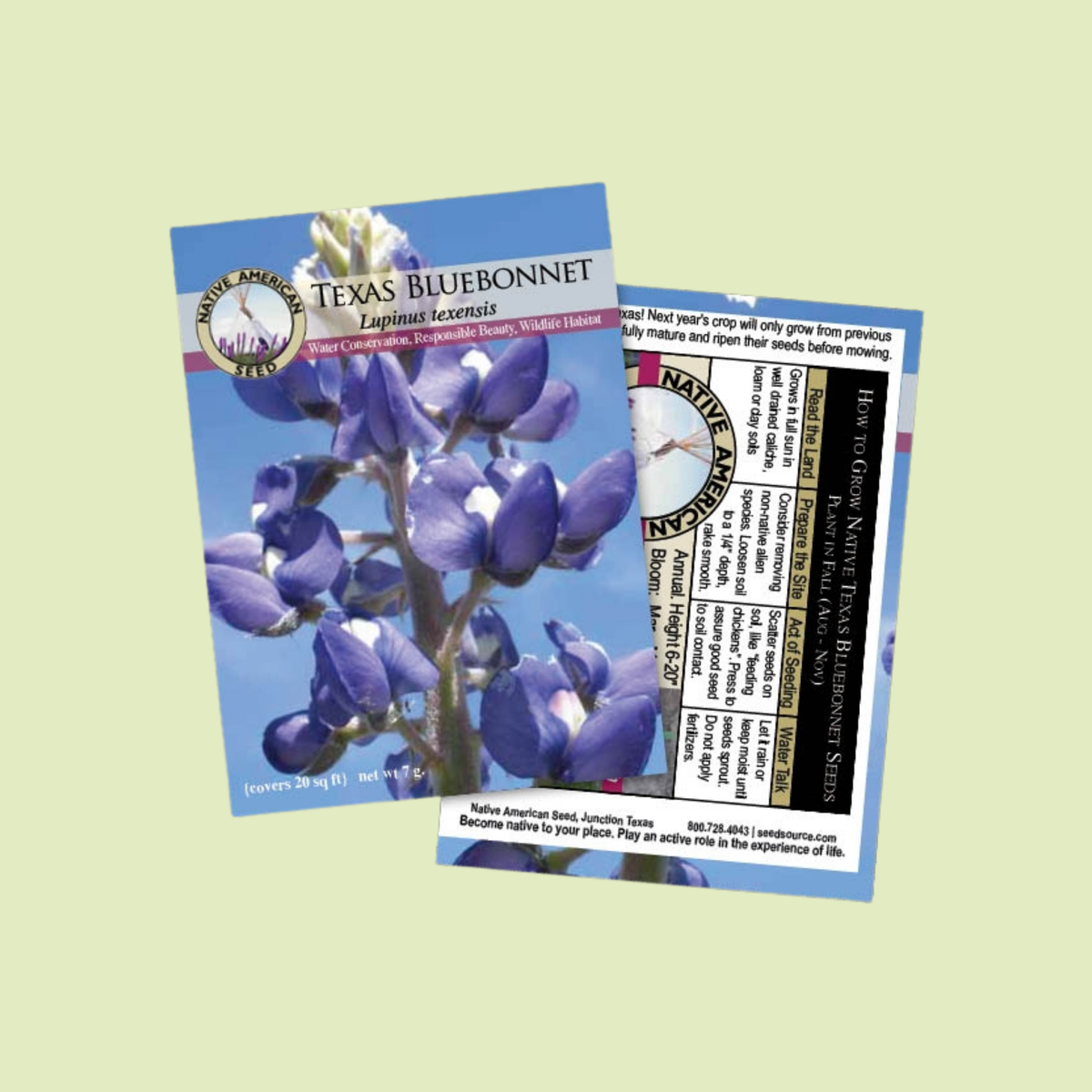 Texas Bluebonnet Seeds