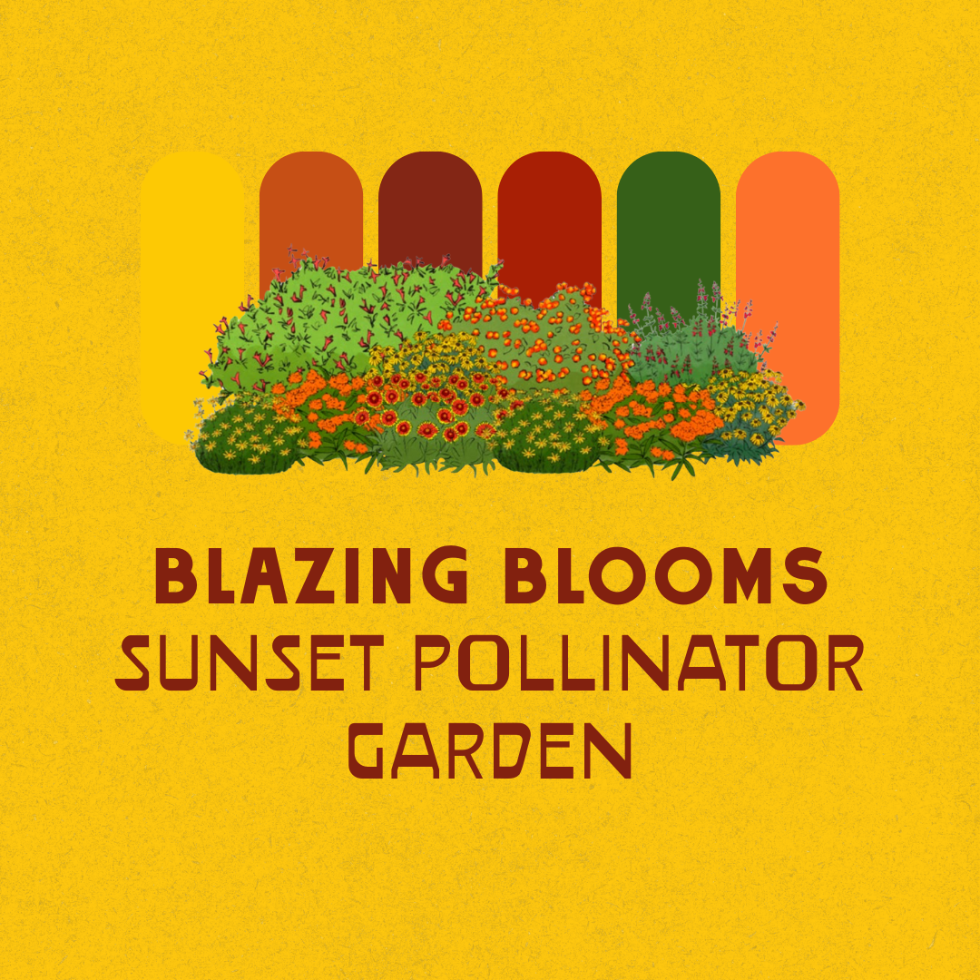 Full Sun Garden Recipes