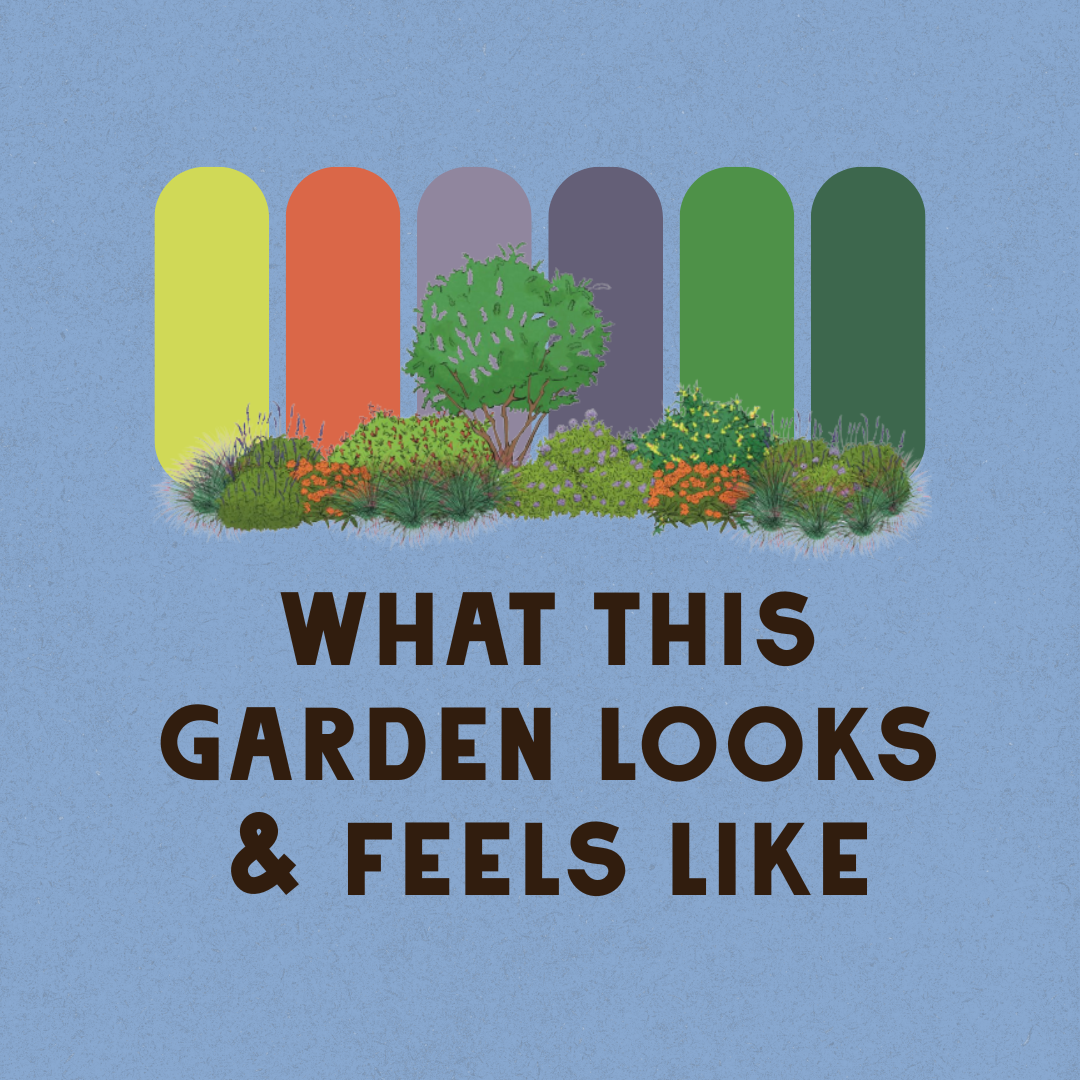 Wildscape Garden Design