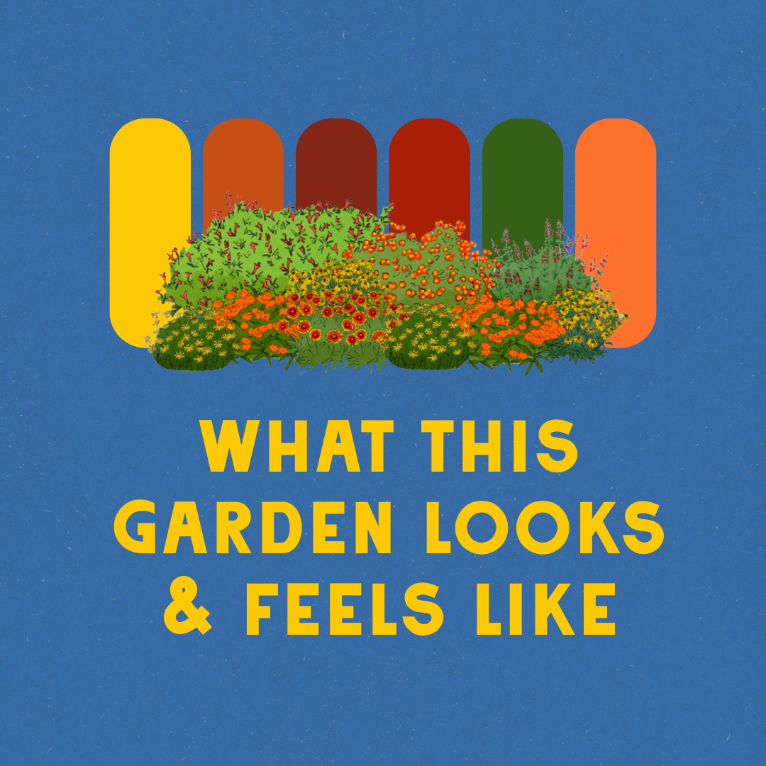 Blazing Blooms Garden Design