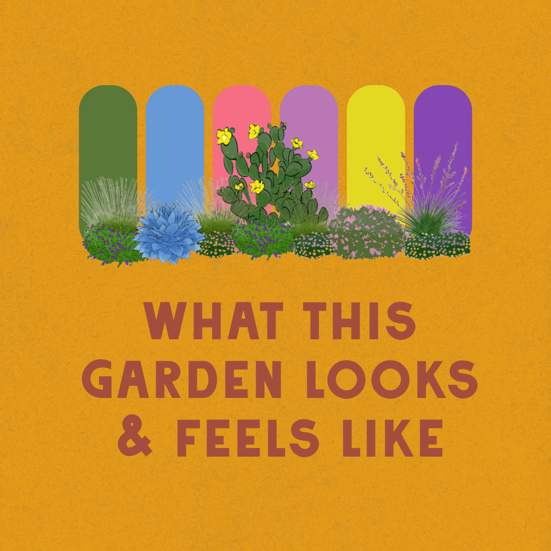 Desert Blooms Garden Design