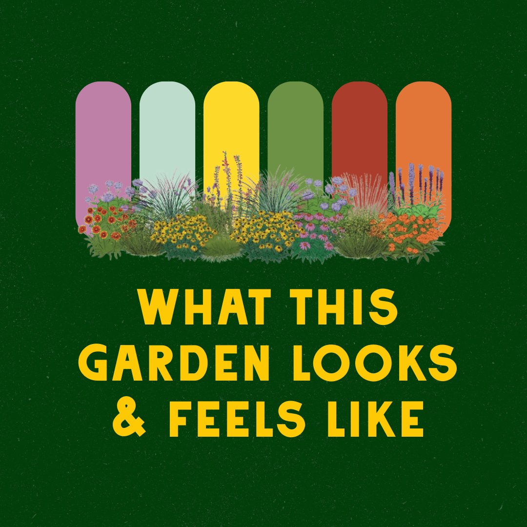 Micro Meadow Garden Design