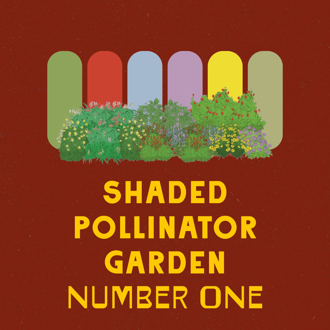 Shaded Garden Recipes