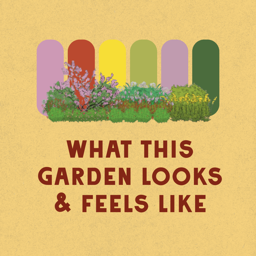 Deer Resistant - Shaded Garden Design