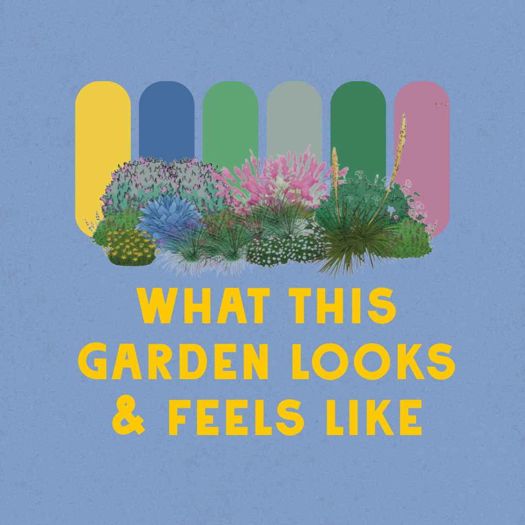 Deer Resistant - Full Sun Garden Design