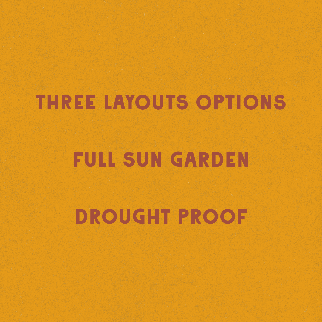 Desert Blooms Garden Design