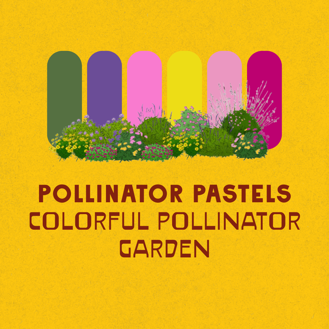 Full Sun Garden Recipes