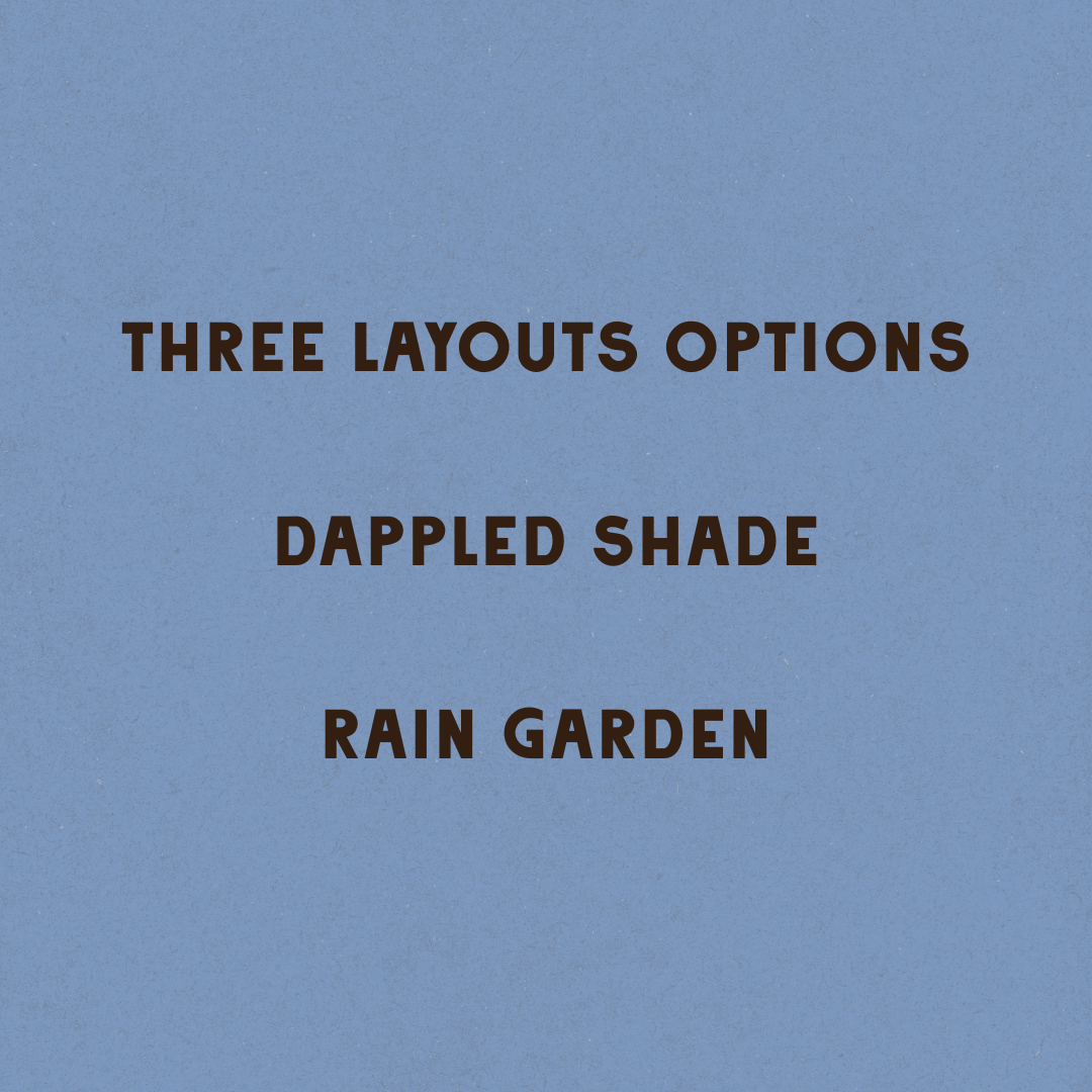 Shaded Oasis Garden Design