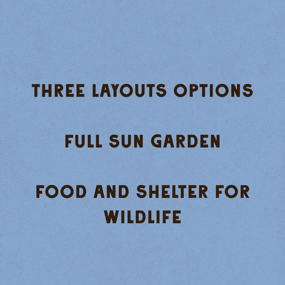 Wildscape Garden Design