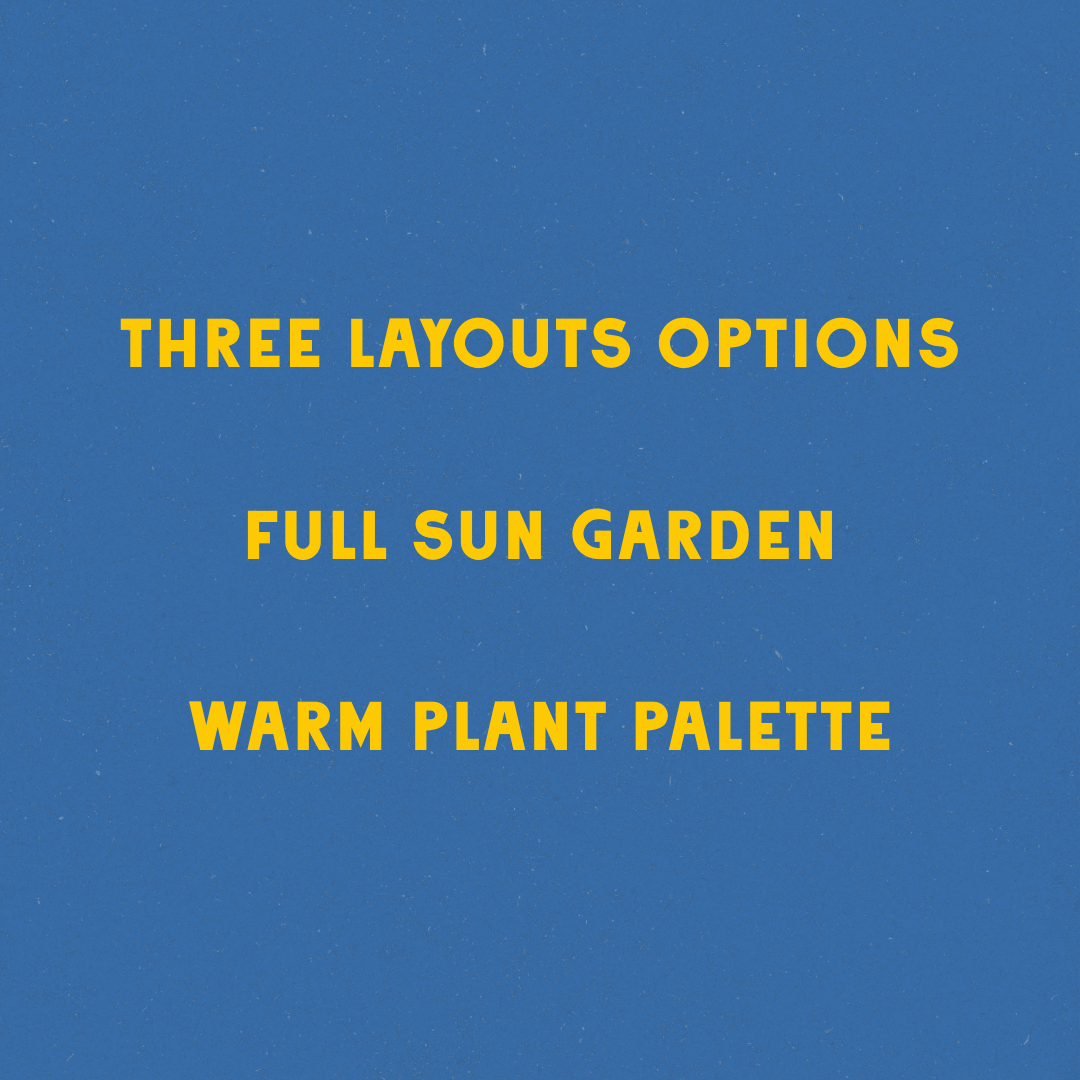 Blazing Blooms Garden Design