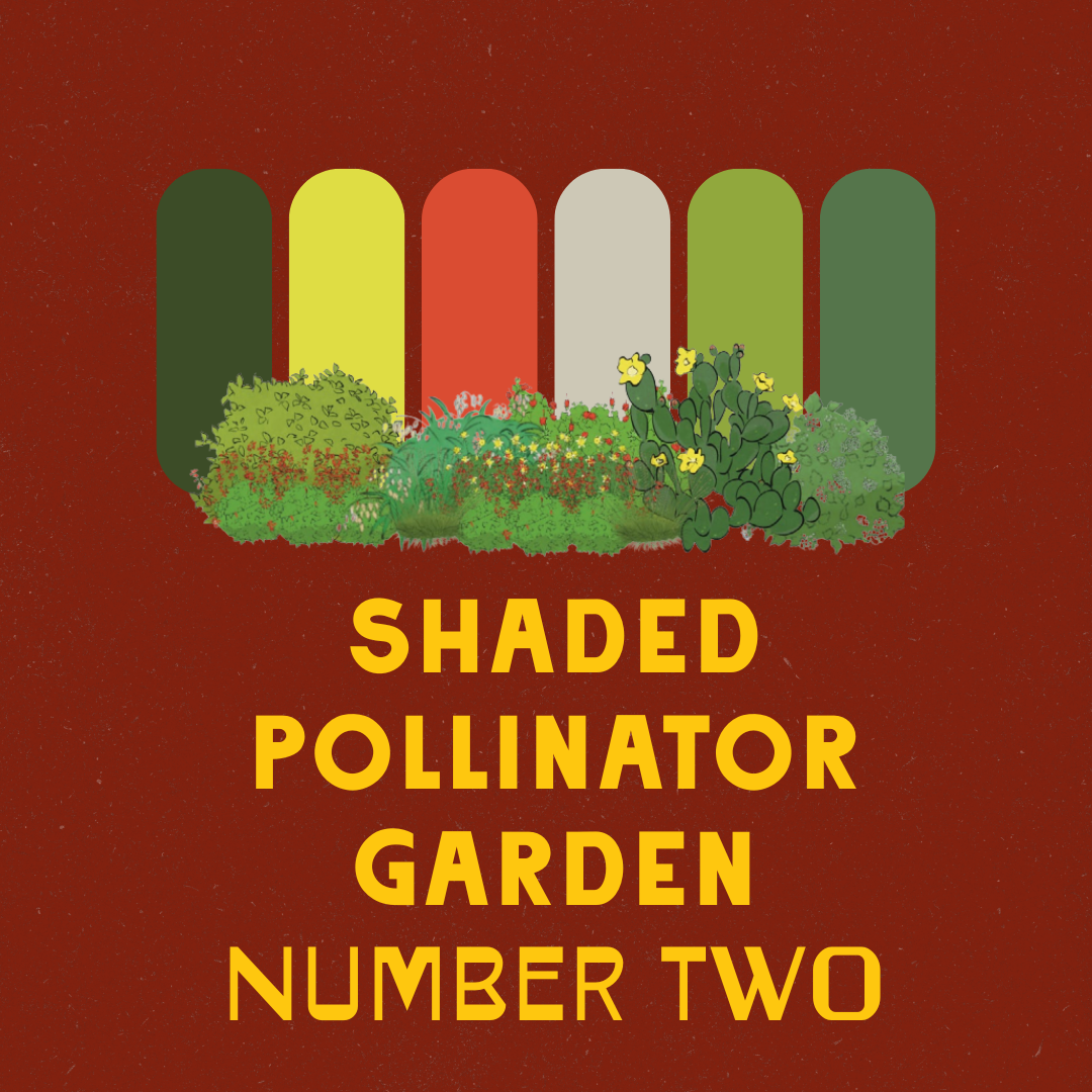 Shaded Garden Recipes