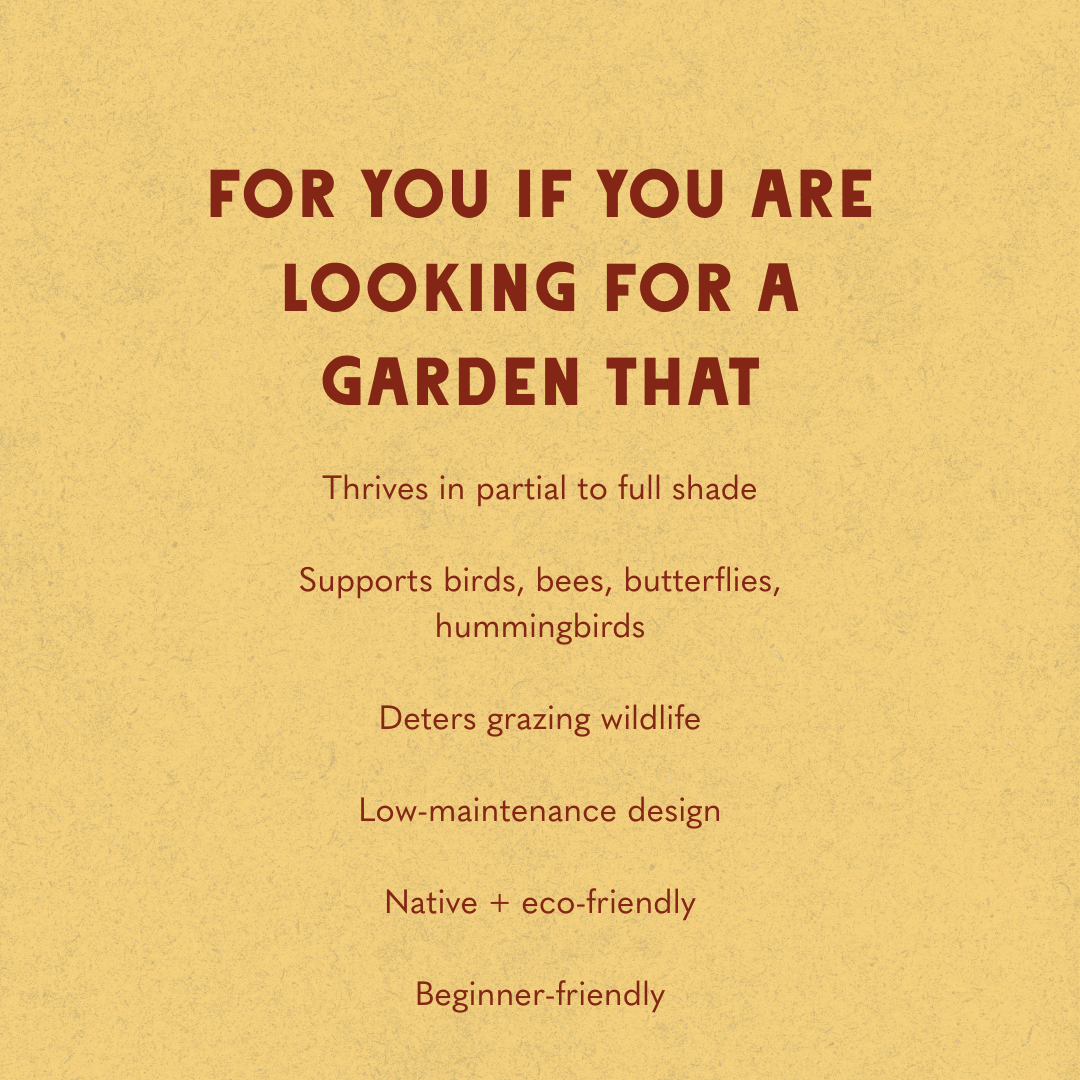Deer Resistant - Shaded Garden Design
