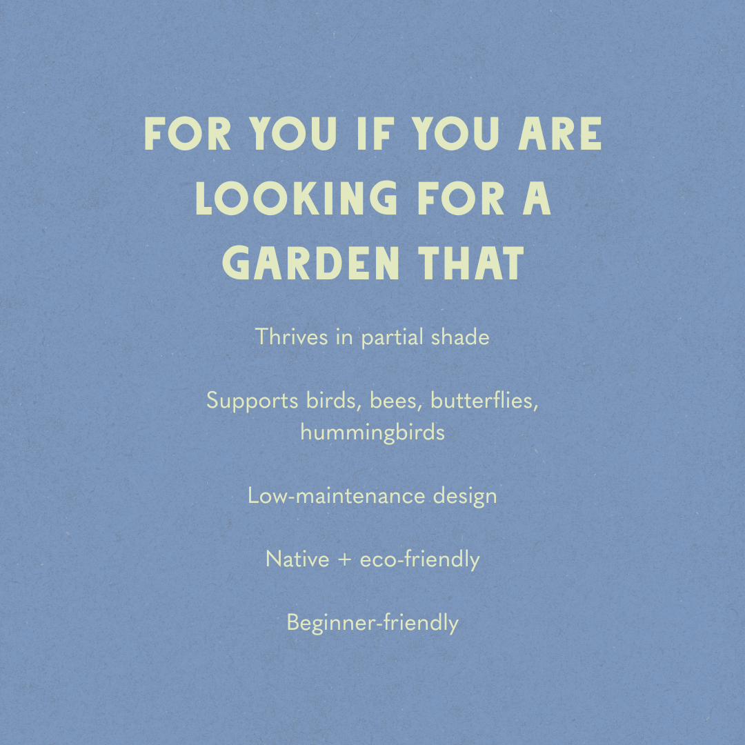 Shaded Oasis Garden Design