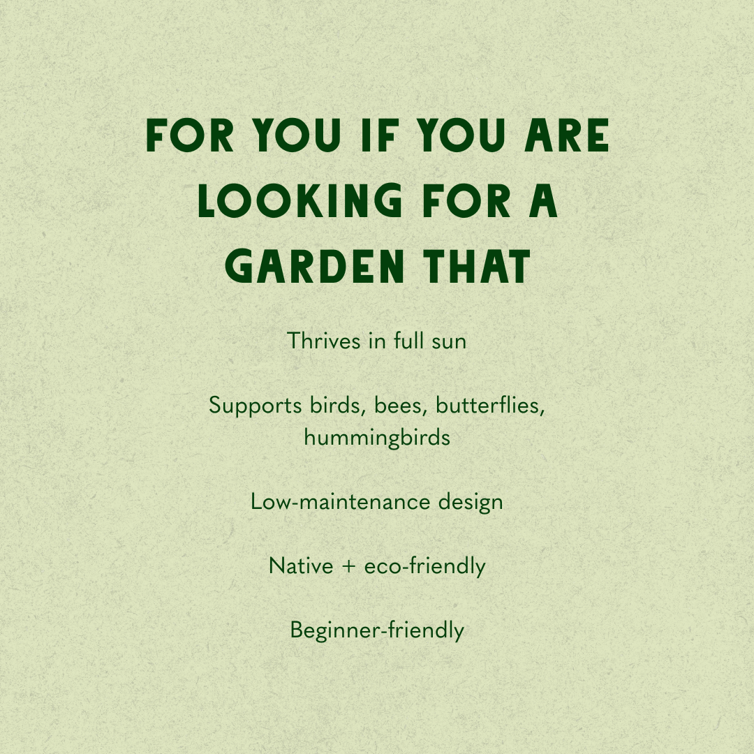 The Classic Garden Design