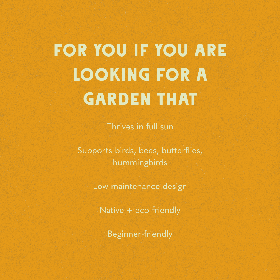 Desert Blooms Garden Design