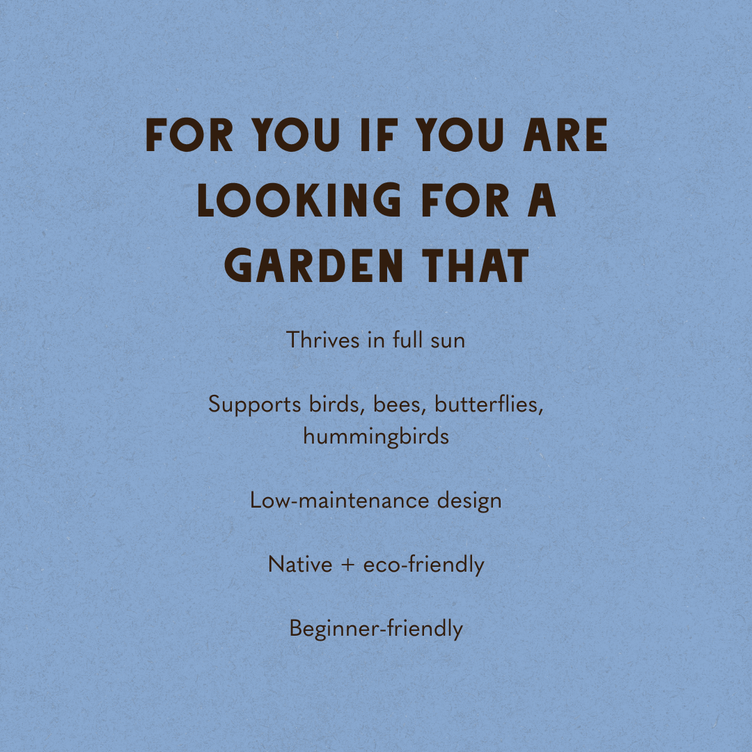 Wildscape Garden Design