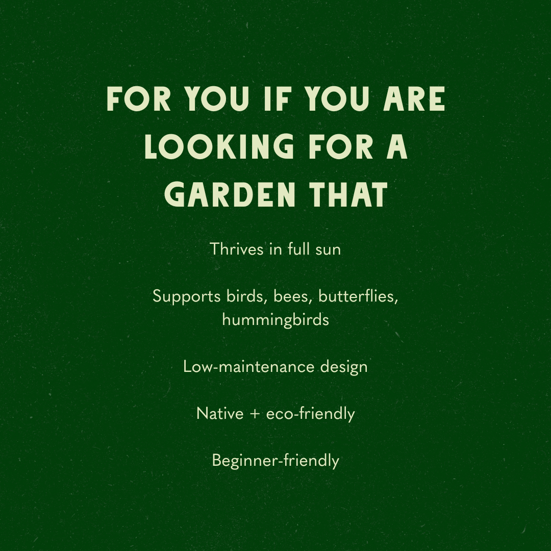 Micro Meadow Garden Design