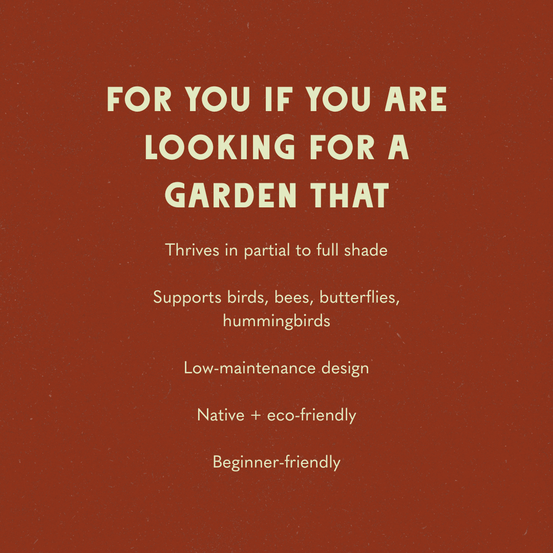 Shaded Garden #2 Design