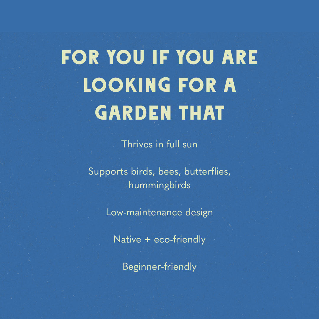 Blazing Blooms Garden Design