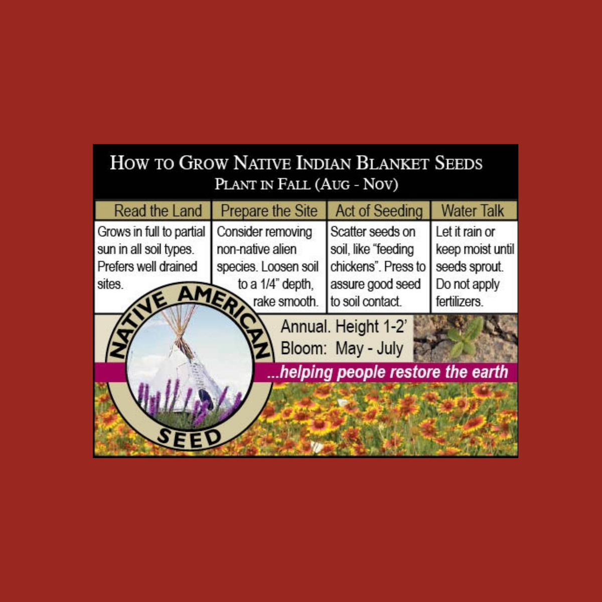 Indian Blanket Seeds