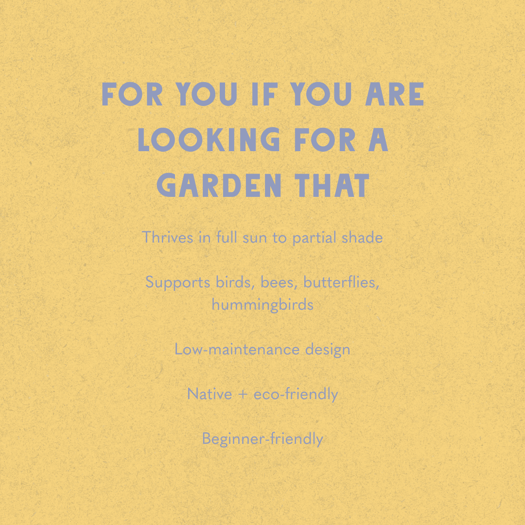 Rain or Shine Garden Design