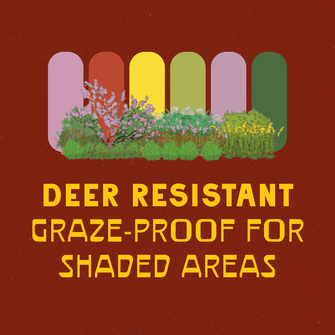 Shaded Garden Recipes