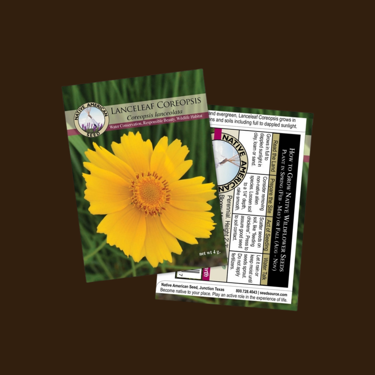 Lanceleaf Coreopsis Seeds