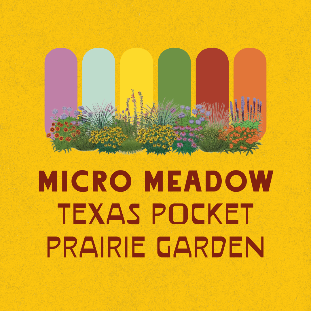 Full Sun Garden Recipes